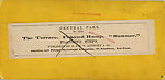 [16 Stereographic Views of Terrace Designs: Close-Up, Central Park, New York], Various, American, Albumen silver prints