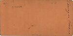 [16 Stereographic Views of Terrace Designs: Close-Up, Central Park, New York], Various, American, Albumen silver prints