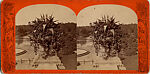 [15 Stereographic Views of Terrace Flower Vases, Central Park, New York], Various, American, Albumen silver prints