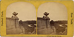 [15 Stereographic Views of Terrace Flower Vases, Central Park, New York], Various, American, Albumen silver prints