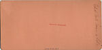 [15 Stereographic Views of Terrace Flower Vases, Central Park, New York], Various, American, Albumen silver prints
