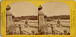 [15 Stereographic Views of Terrace Flower Vases, Central Park, New York], Various, American, Albumen silver prints