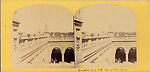 [20 Stereographic Views of Terrace Arcade, Central Park, New York], Various, American, Albumen silver prints