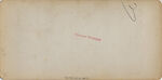 [52 Stereographic Views of Terrace Stairs, Central Park, New York], Various, American, Albumen silver prints