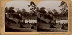 [52 Stereographic Views of Terrace Stairs, Central Park, New York], Various, American, Albumen silver prints