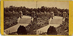 [52 Stereographic Views of Terrace Stairs, Central Park, New York], Various, American, Albumen silver prints