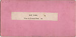 [52 Stereographic Views of Terrace Stairs, Central Park, New York], Various, American, Albumen silver prints