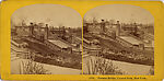 [52 Stereographic Views of Terrace Stairs, Central Park, New York], Various, American, Albumen silver prints