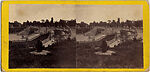 [52 Stereographic Views of Terrace Stairs, Central Park, New York], Various, American, Albumen silver prints