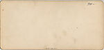 [80 Stereographic Views of Terrace Stonework:  Close-Up Sections and Distant Views, Central Park, New York], Various, American, Albumen silver prints