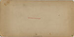 [80 Stereographic Views of Terrace Stonework:  Close-Up Sections and Distant Views, Central Park, New York], Various, American, Albumen silver prints