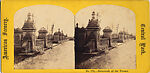 [80 Stereographic Views of Terrace Stonework:  Close-Up Sections and Distant Views, Central Park, New York], Various, American, Albumen silver prints