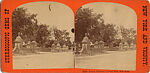 [80 Stereographic Views of Terrace Stonework:  Close-Up Sections and Distant Views, Central Park, New York], Various, American, Albumen silver prints