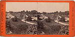 [107  Stereographic Views of Terrace:  Distant Views, Central Park, New York], Various, American, Albumen silver prints