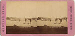 [107  Stereographic Views of Terrace:  Distant Views, Central Park, New York], Various, American, Albumen silver prints