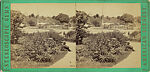[107  Stereographic Views of Terrace:  Distant Views, Central Park, New York], Various, American, Albumen silver prints