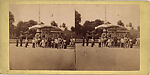 [107  Stereographic Views of Terrace:  Distant Views, Central Park, New York], Various, American, Albumen silver prints