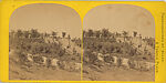 [107  Stereographic Views of Terrace:  Distant Views, Central Park, New York], Various, American, Albumen silver prints