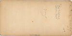 [107  Stereographic Views of Terrace:  Distant Views, Central Park, New York], Various, American, Albumen silver prints
