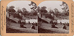 [107  Stereographic Views of Terrace:  Distant Views, Central Park, New York], Various, American, Albumen silver prints