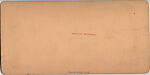 [107  Stereographic Views of Terrace:  Distant Views, Central Park, New York], Various, American, Albumen silver prints