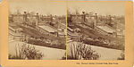 [107  Stereographic Views of Terrace:  Distant Views, Central Park, New York], Various, American, Albumen silver prints