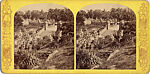 [107  Stereographic Views of Terrace:  Distant Views, Central Park, New York], Various, American, Albumen silver prints