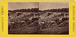 [107  Stereographic Views of Terrace:  Distant Views, Central Park, New York], Various, American, Albumen silver prints
