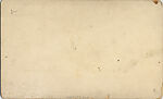 [107  Stereographic Views of Terrace:  Distant Views, Central Park, New York], Various, American, Albumen silver prints