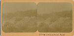 [107  Stereographic Views of Terrace:  Distant Views, Central Park, New York], Various, American, Albumen silver prints