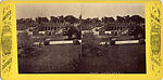 [107  Stereographic Views of Terrace:  Distant Views, Central Park, New York], Various, American, Albumen silver prints