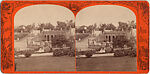 [107  Stereographic Views of Terrace:  Distant Views, Central Park, New York], Various, American, Albumen silver prints