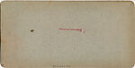[107  Stereographic Views of Terrace:  Distant Views, Central Park, New York], Various, American, Albumen silver prints