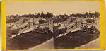 [107  Stereographic Views of Terrace:  Distant Views, Central Park, New York], Various, American, Albumen silver prints