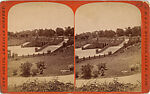 [107  Stereographic Views of Terrace:  Distant Views, Central Park, New York], Various, American, Albumen silver prints