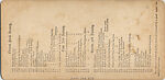 [107  Stereographic Views of Terrace:  Distant Views, Central Park, New York], Various, American, Albumen silver prints
