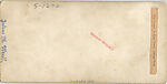 [107  Stereographic Views of Terrace:  Distant Views, Central Park, New York], Various, American, Albumen silver prints