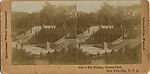 [107  Stereographic Views of Terrace:  Distant Views, Central Park, New York], Various, American, Albumen silver prints