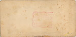 [107  Stereographic Views of Terrace:  Distant Views, Central Park, New York], Various, American, Albumen silver prints