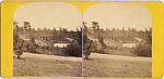 [107  Stereographic Views of Terrace:  Distant Views, Central Park, New York], Various, American, Albumen silver prints