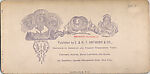 [107  Stereographic Views of Terrace:  Distant Views, Central Park, New York], Various, American, Albumen silver prints