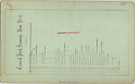 [107  Stereographic Views of Terrace:  Distant Views, Central Park, New York], Various, American, Albumen silver prints