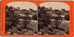 [107  Stereographic Views of Terrace:  Distant Views, Central Park, New York], Various, American, Albumen silver prints