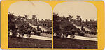 [107  Stereographic Views of Terrace:  Distant Views, Central Park, New York], Various, American, Albumen silver prints