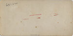 [107  Stereographic Views of Terrace:  Distant Views, Central Park, New York], Various, American, Albumen silver prints