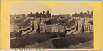 [107  Stereographic Views of Terrace:  Distant Views, Central Park, New York], Various, American, Albumen silver prints
