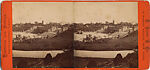 [107  Stereographic Views of Terrace:  Distant Views, Central Park, New York], Various, American, Albumen silver prints