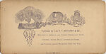 [107  Stereographic Views of Terrace:  Distant Views, Central Park, New York], Various, American, Albumen silver prints