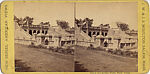 [107  Stereographic Views of Terrace:  Distant Views, Central Park, New York], Various, American, Albumen silver prints