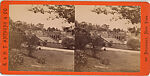 [107  Stereographic Views of Terrace:  Distant Views, Central Park, New York], Various, American, Albumen silver prints